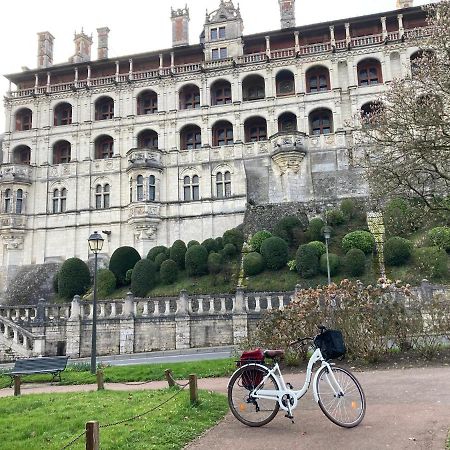 Gite Blois Chatel Exterior foto